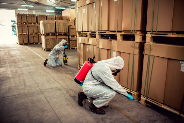 Best Local Pest Control Services  in Eglin Af, FL